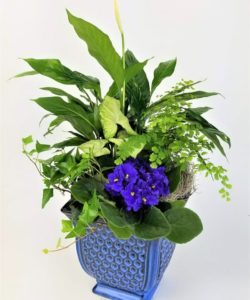 This deep-hued blue garden is perfect for a rainy day, or any day!