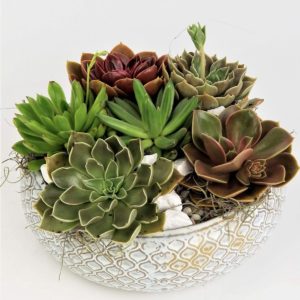 Hinting at the ocean and walks on the beach, this garden features a variety of succulents and echeveria in a stunning low dish dotted with bits of sea glass.
