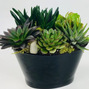 A long-lasting and easy-care gift idea, this low, half-moon dish is filled with a variety of succulents which are sure to please anyone.