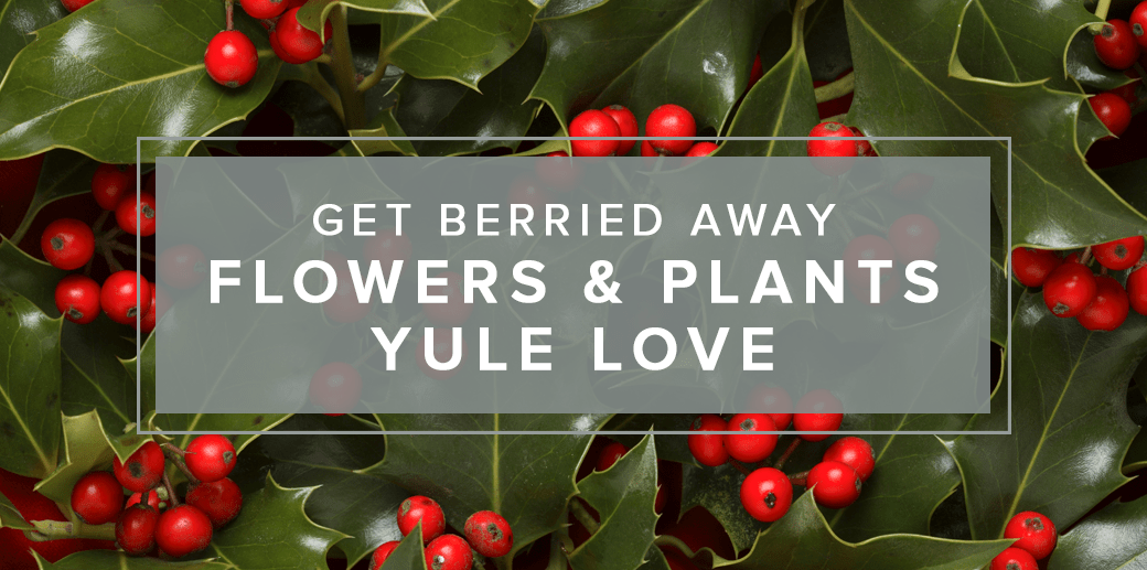 🎁 Stadium Flower's Holiday Guide