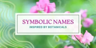 Lifestyle-SymbolicNames-blog